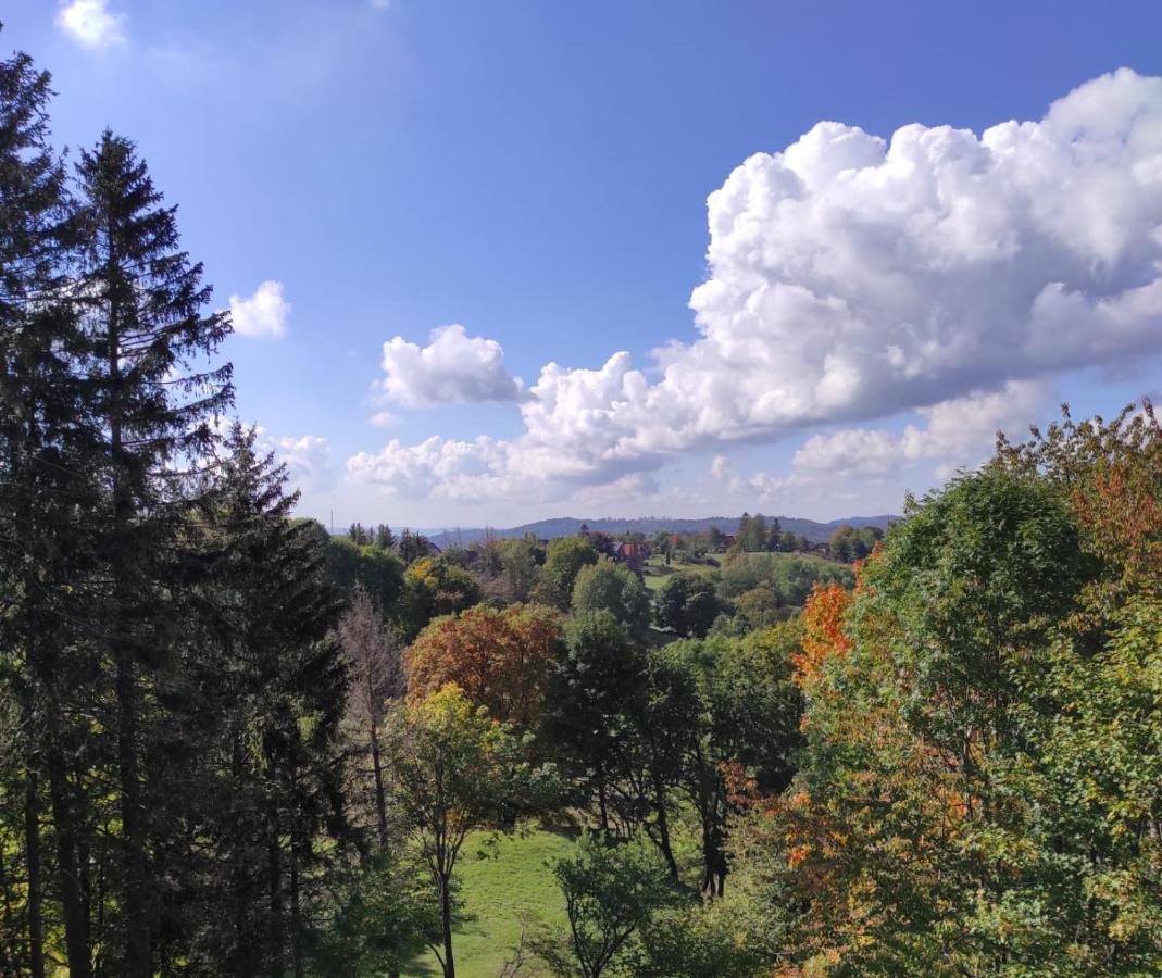 Fewo Harzer Weitblick, Hunde Willkommen, W-Lan, 2X Smart Tv, Dtv 4 Sterne, 4 Pfoten Браунлаге Екстер'єр фото
