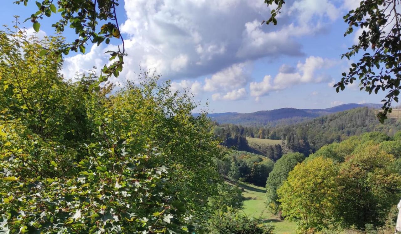 Fewo Harzer Weitblick, Hunde Willkommen, W-Lan, 2X Smart Tv, Dtv 4 Sterne, 4 Pfoten Браунлаге Екстер'єр фото