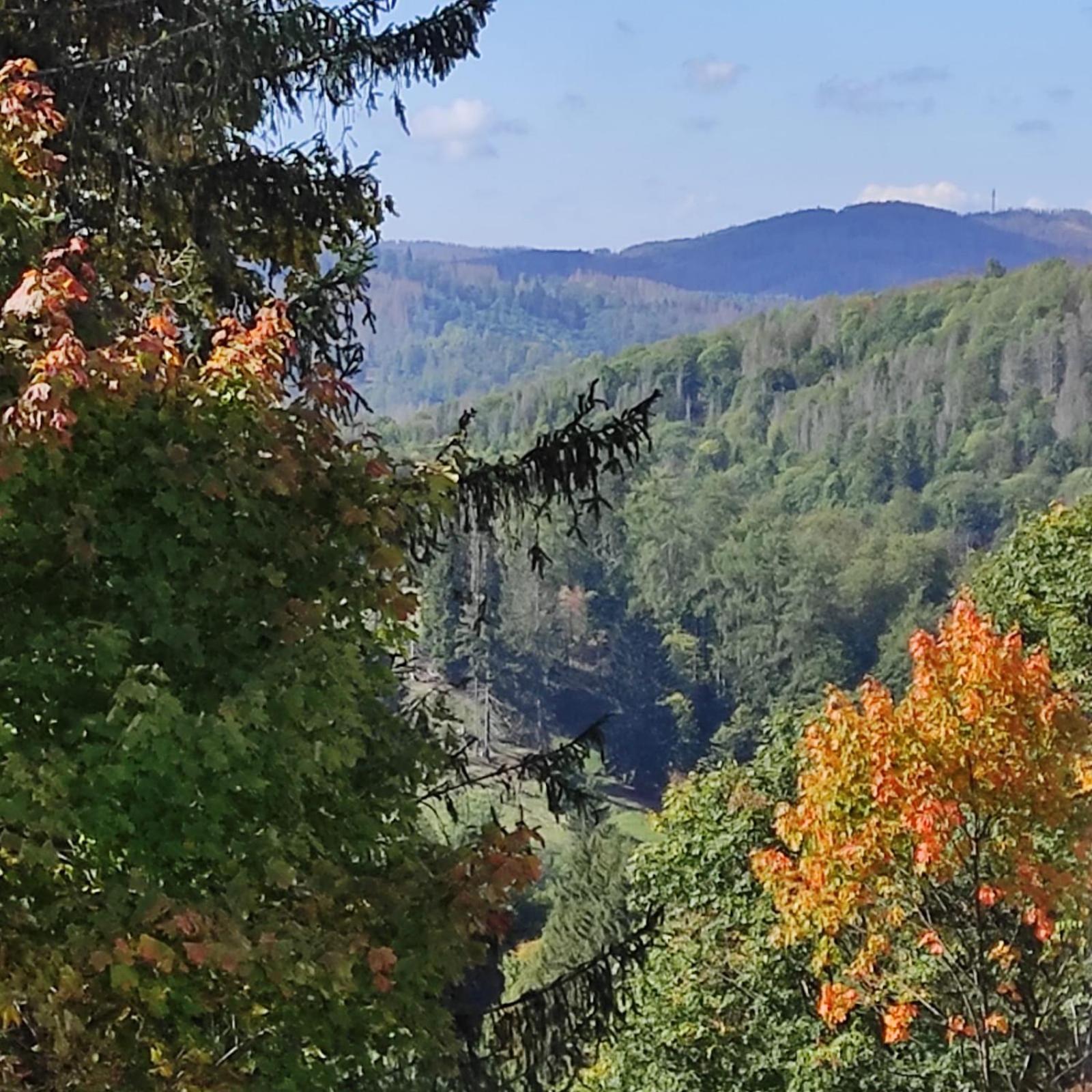 Fewo Harzer Weitblick, Hunde Willkommen, W-Lan, 2X Smart Tv, Dtv 4 Sterne, 4 Pfoten Браунлаге Екстер'єр фото
