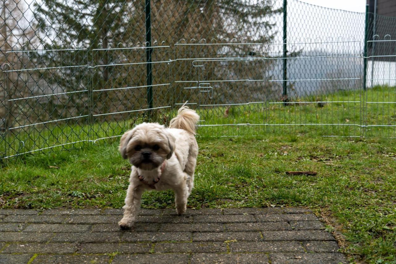 Fewo Harzer Weitblick, Hunde Willkommen, W-Lan, 2X Smart Tv, Dtv 4 Sterne, 4 Pfoten Браунлаге Екстер'єр фото