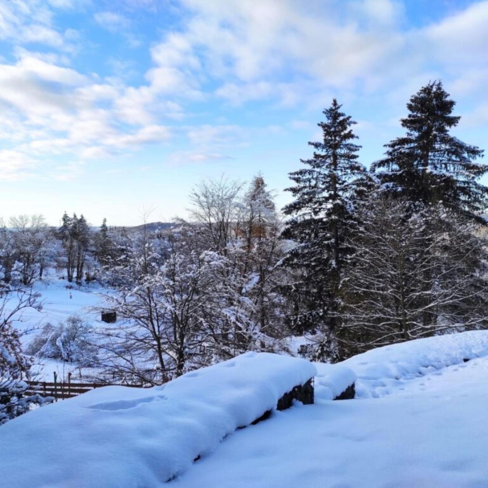Fewo Harzer Weitblick, Hunde Willkommen, W-Lan, 2X Smart Tv, Dtv 4 Sterne, 4 Pfoten Браунлаге Екстер'єр фото