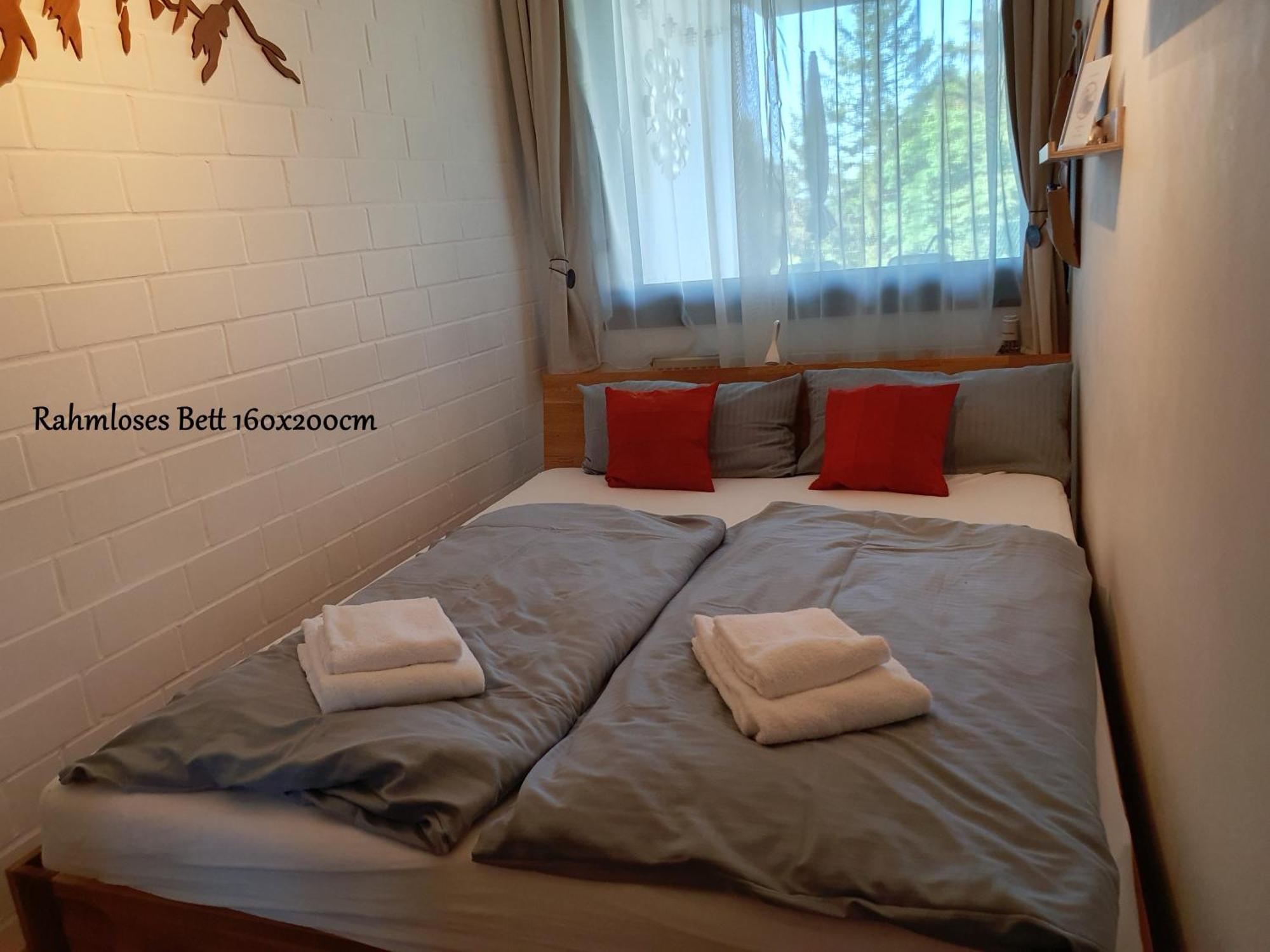 Fewo Harzer Weitblick, Hunde Willkommen, W-Lan, 2X Smart Tv, Dtv 4 Sterne, 4 Pfoten Браунлаге Екстер'єр фото